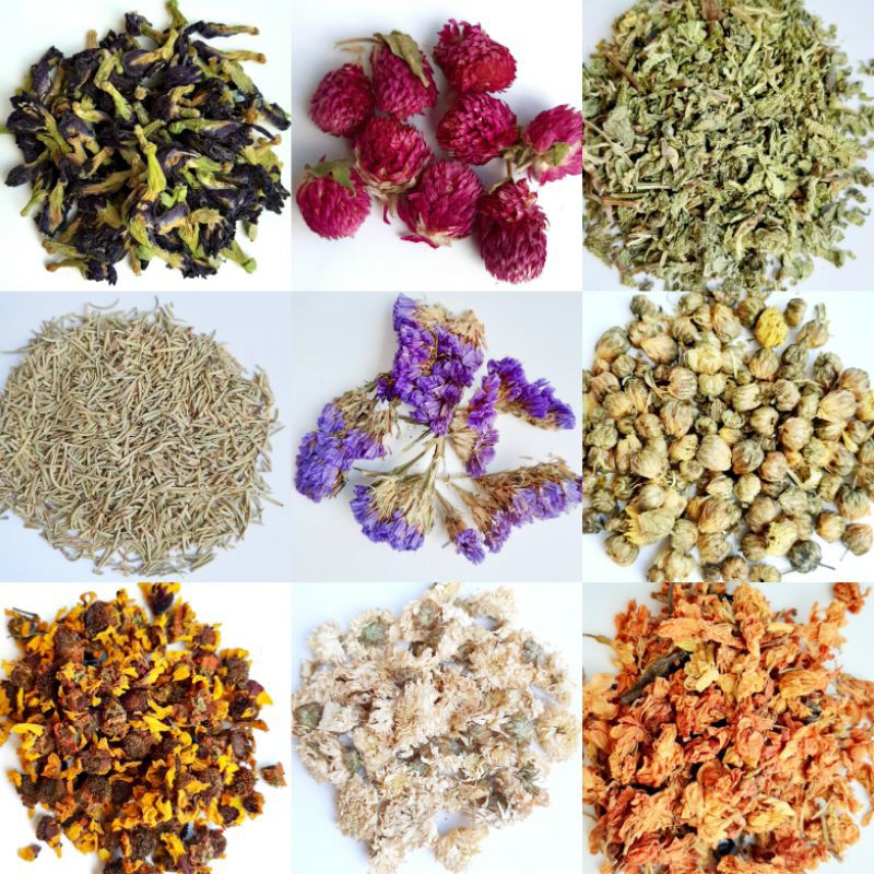 10 GRAM FLOWER TEA / BUNGA TEH / TEH telang lavender chamomile chrysanthemum 50 JENIS