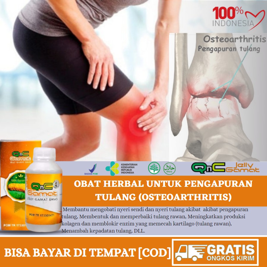 

OBAT HERBAL PENGAPURAN SENDI / RADANG , PENGAPURAN TULANG, TULANG KEROPOS, OSTEOPOROSIS - QNC GAMAT