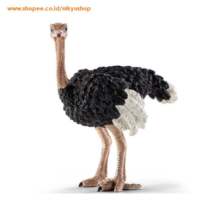 [Nikyushop] Schleich 14744 Ostrich