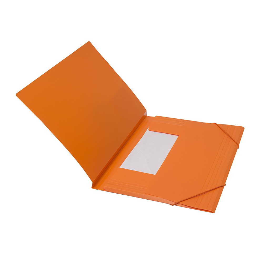 

Bantex Document File Folio - Ref.3431
