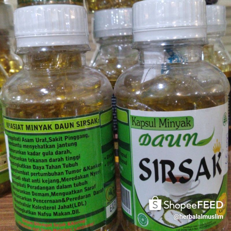 kapsul daun sirsak