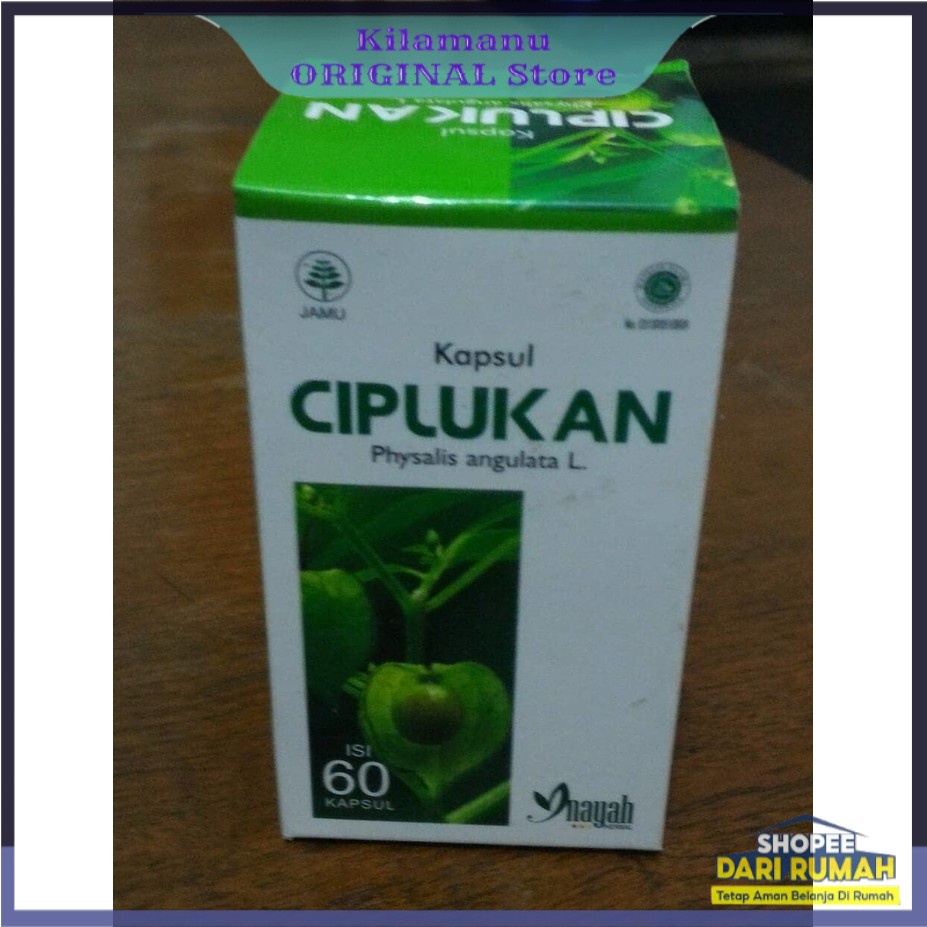 Kila ORIGINAL Ciplukan - Kapsul Daun Ciplukan