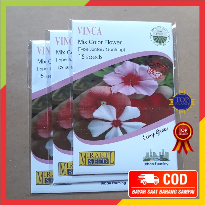 Benih Vinca Juntai Gantung mix Tapak Dara Murah COD Bayar Ditempat isi 15 biji Mirakel Seed