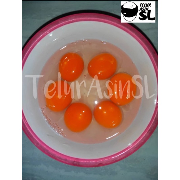 

Telur Bebek Mentah Kualitas Super TERMURAH Grosir & Ecer