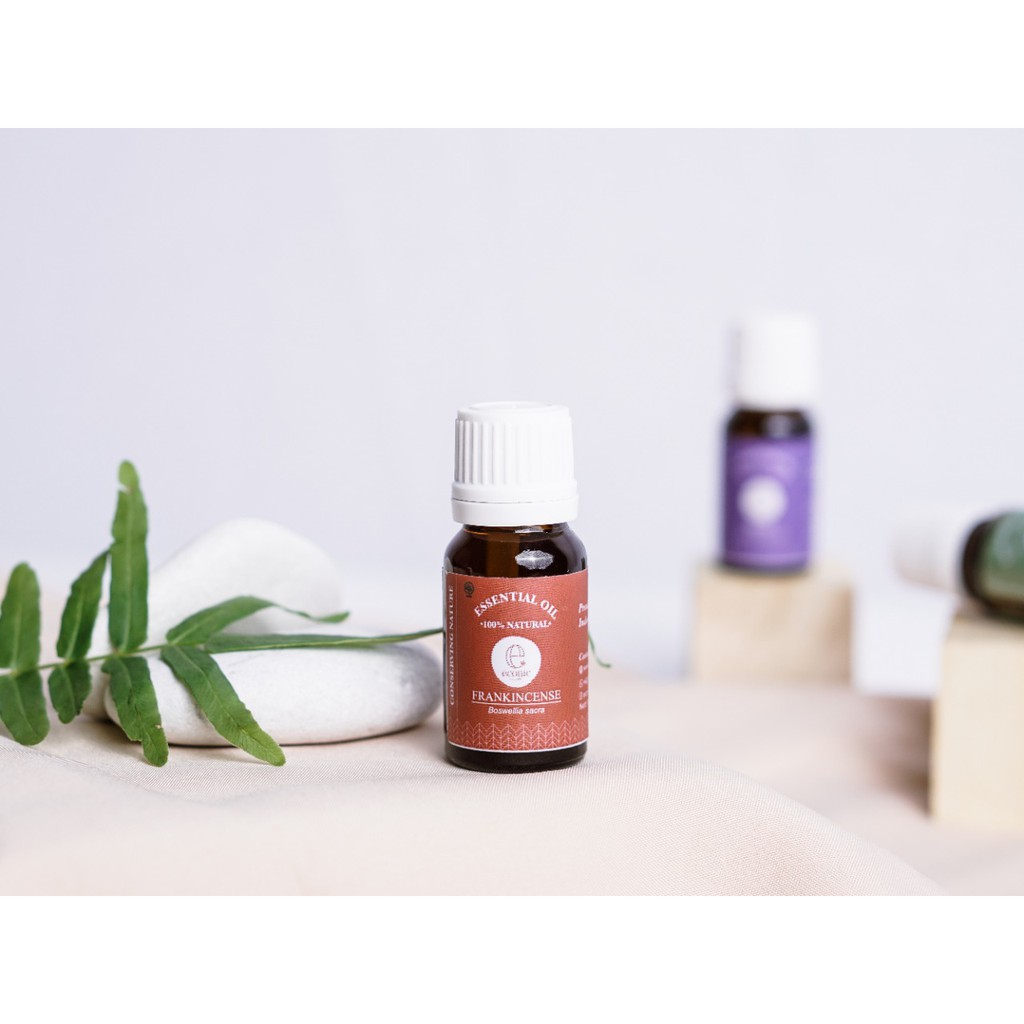 Essential Oil Frankincense | Aromaterapi Relaksasi &amp; Anti Aging | Minyak Esensial Diffuser &amp; Oles