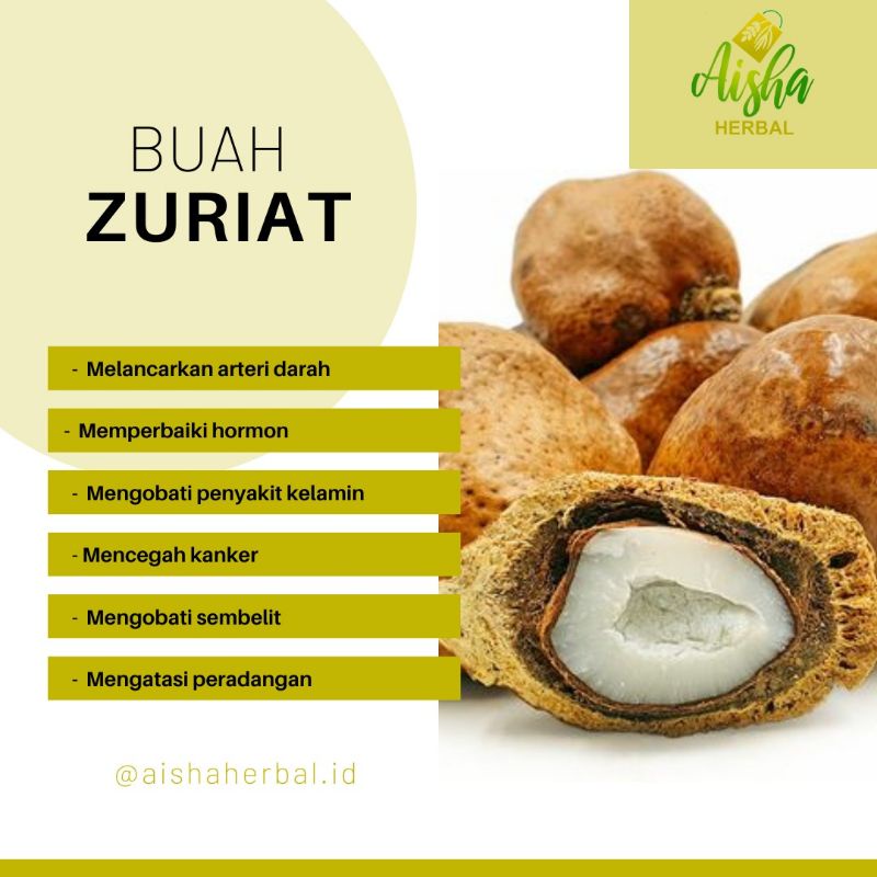 

Buah Zuriat 500 Gram