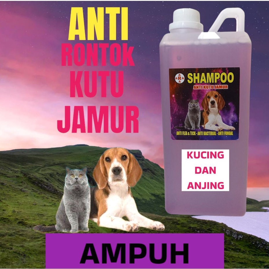 shampoo kucing dan anjing 1000ML anti kutu dan jamur