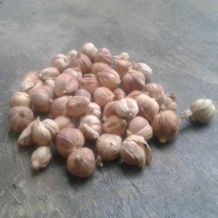 

kapulaga kering 1kg