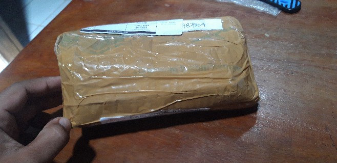 Katak Porang Siap Tanam