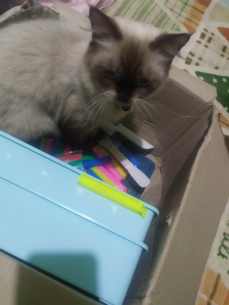 Shabby Piring Sayur Buah Bahan Shabu Shabu Alat Dapur Kreatif