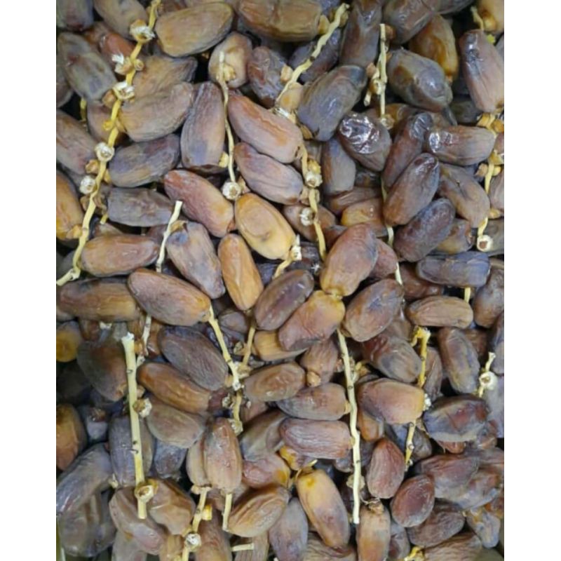 

kurma muda
