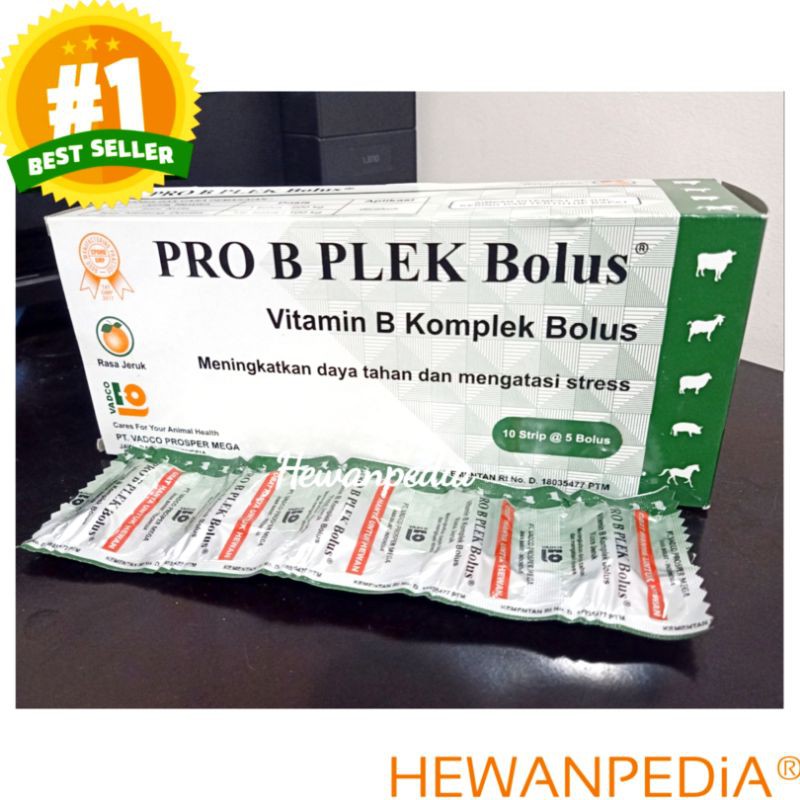 Jual PRO B PLEK 1 BOLUS RASA JERUK - Vitamin B Kompleks Hewan Bkomplek ...