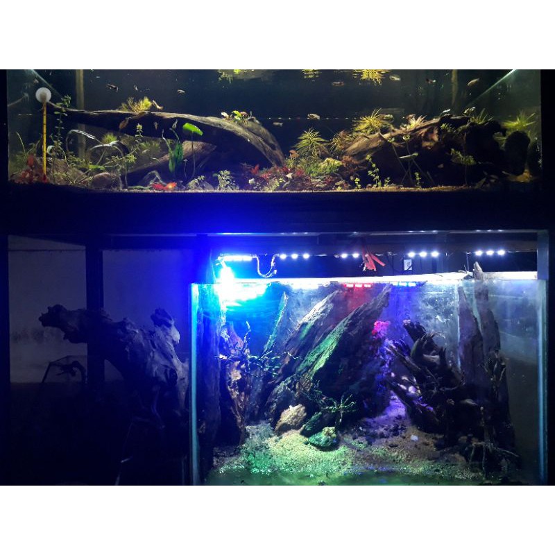 aquascape& hardscape