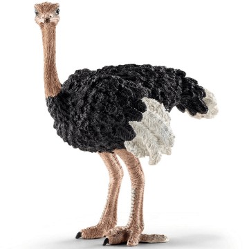 Schleich - Ostrich