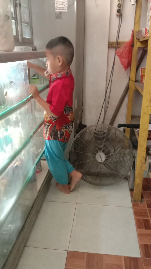 Dave Kids - Kemeja Batik Anak Laki-laki