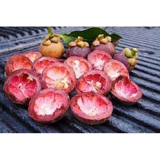 

Kulit Manggis Kering 1/2 kg (500 g) Asli Herbal Alami
