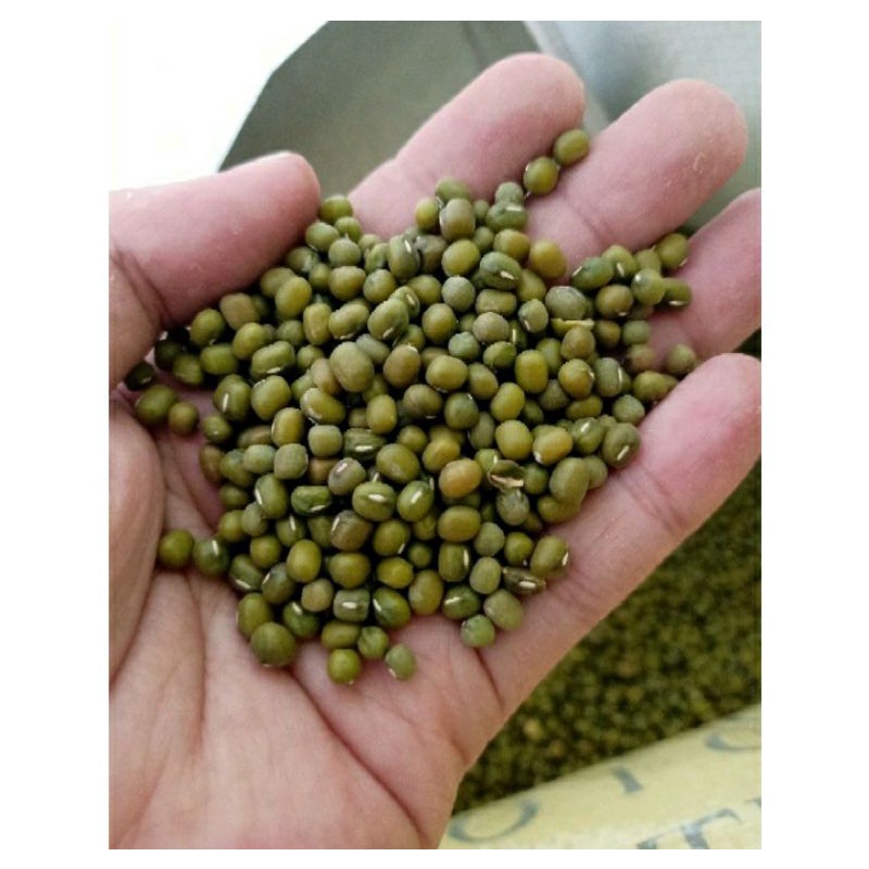

Kacang Hijau Import Australia - Kualitas terbaik