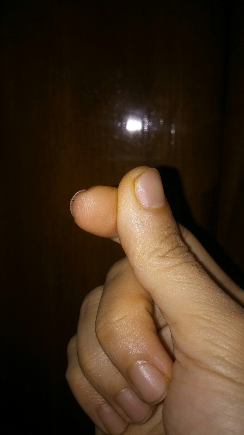 Shuma Teko Kopi Teh Air Panas Dan Dingin Stainless Steel Kualitas Terbaik