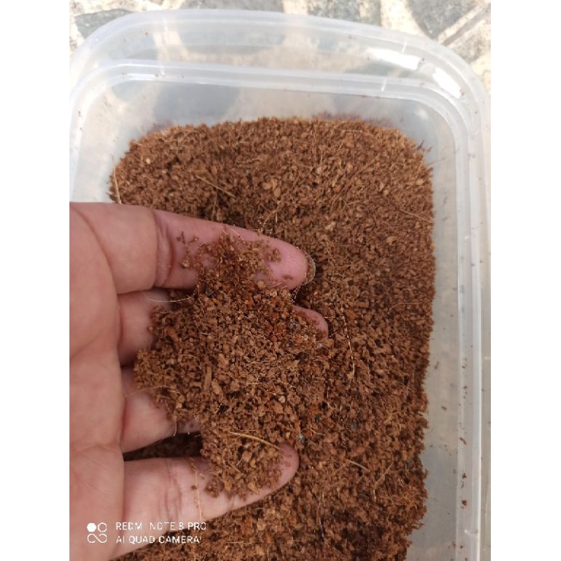 coco peat media tanam