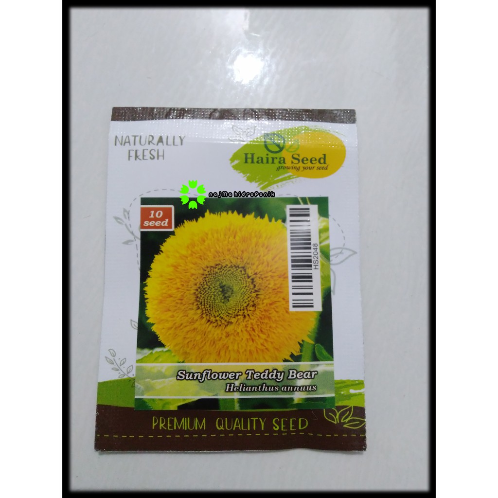 Benih/bibit Bunga Matahari/Sunflower Teddy Bear Pouch (Haira Seed)