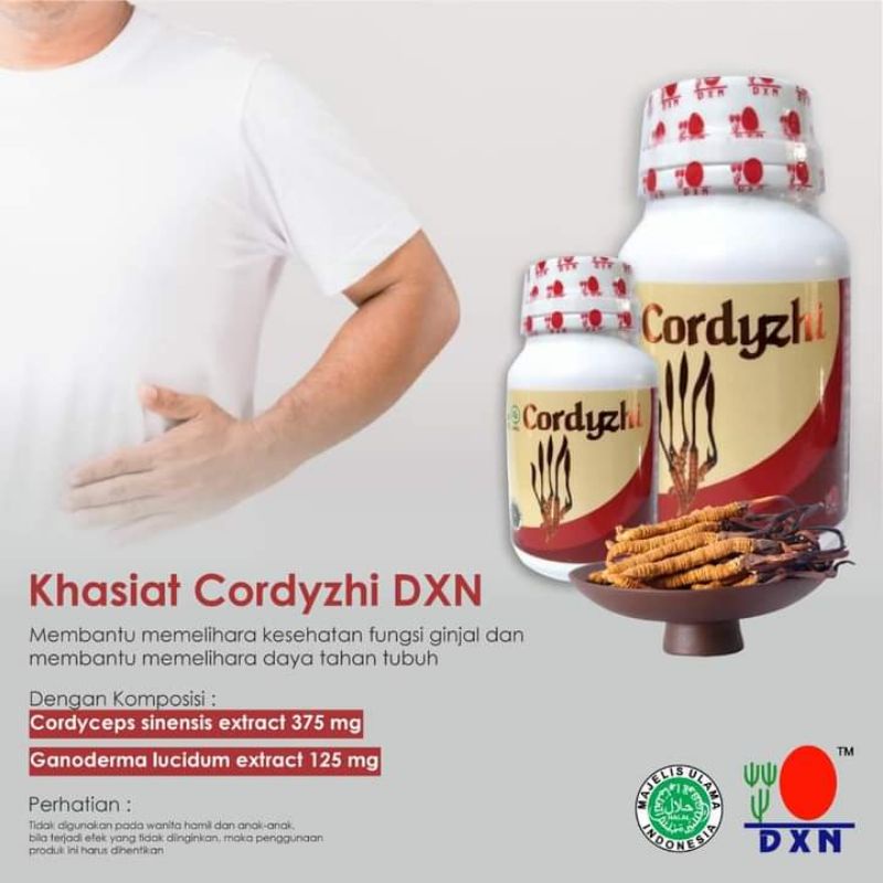 

Cordyzhi DXN