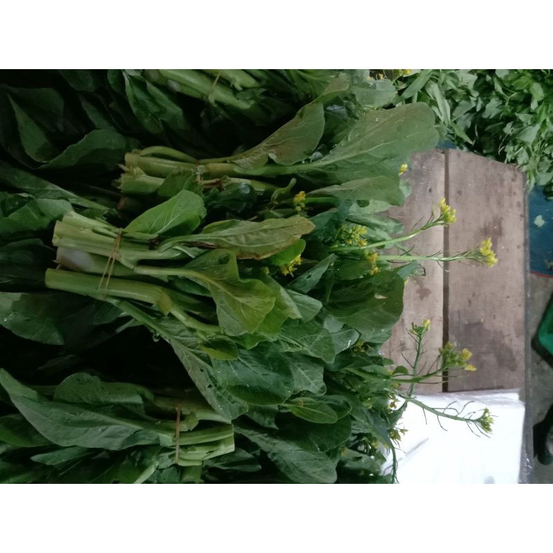 

BSM | TERMURAH Sawi Bunga Segar 500gr - 1kg | Sayur online
