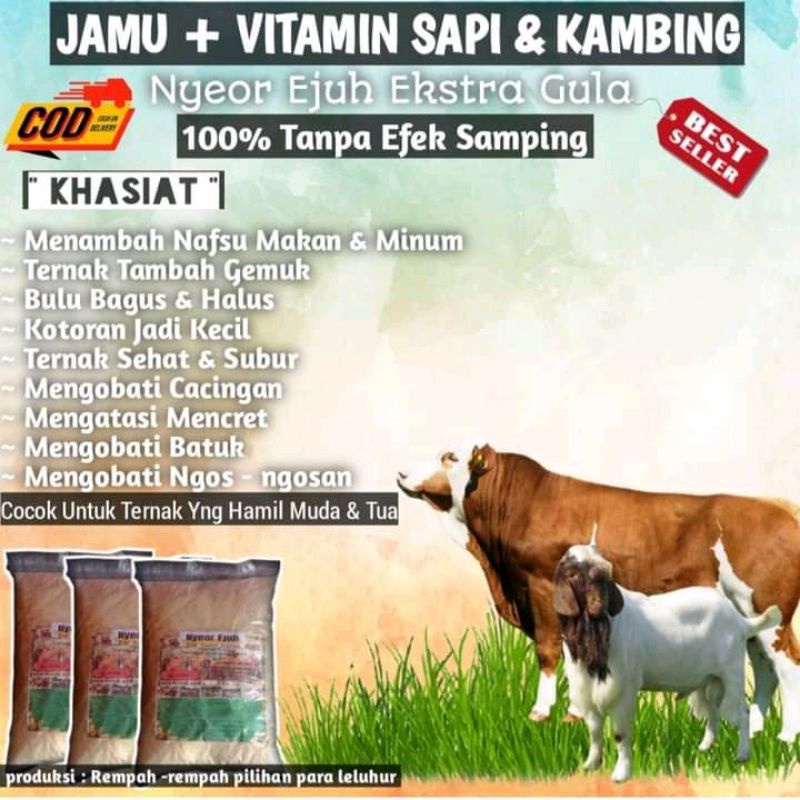 

Jamu Nyeor Ejuh Penggemuk Penghalus Bulu Nafsu Makan Extra Gula