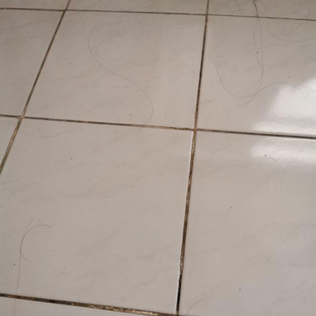 Kiwi Loyang Bulat Pressed Diameter 10cm Tinggi 4cm