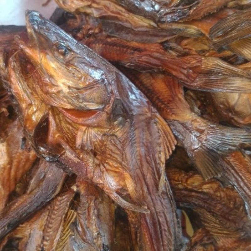 ikan salai baung