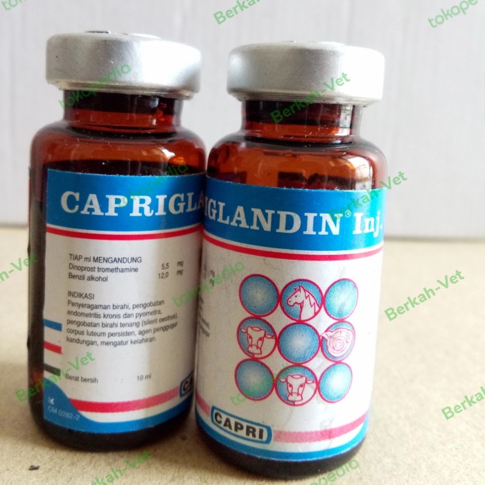 CAPRIGLANDIN Inj 10 ml (Hormon PGF2α - Penyeragam Birahi)
