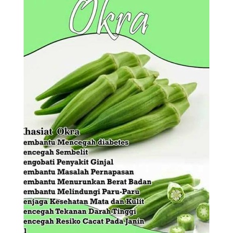 

[PRODUK I9LMV] Buah okra hijau segar QC0