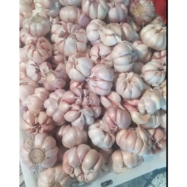 

Bawang putih 250gr