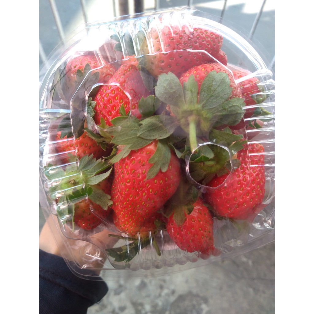 Strawberry Buah Segar Bandung