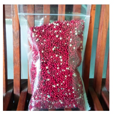 pupuk slow release merah 100g, pupuk slow release 19 10 13