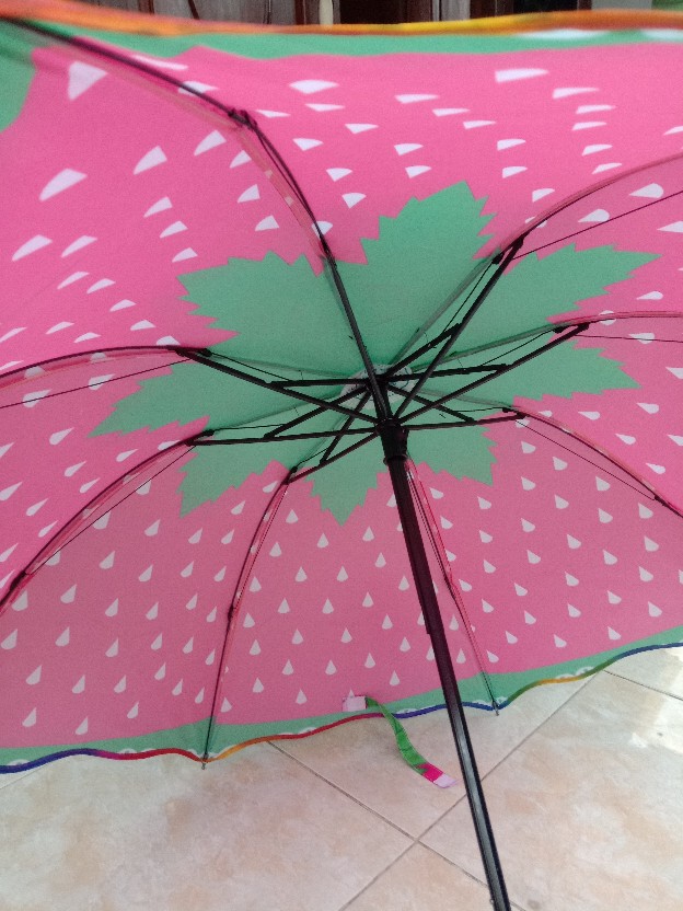 Payung Lipat 4 Motif Buah-buahan/fruits (356)