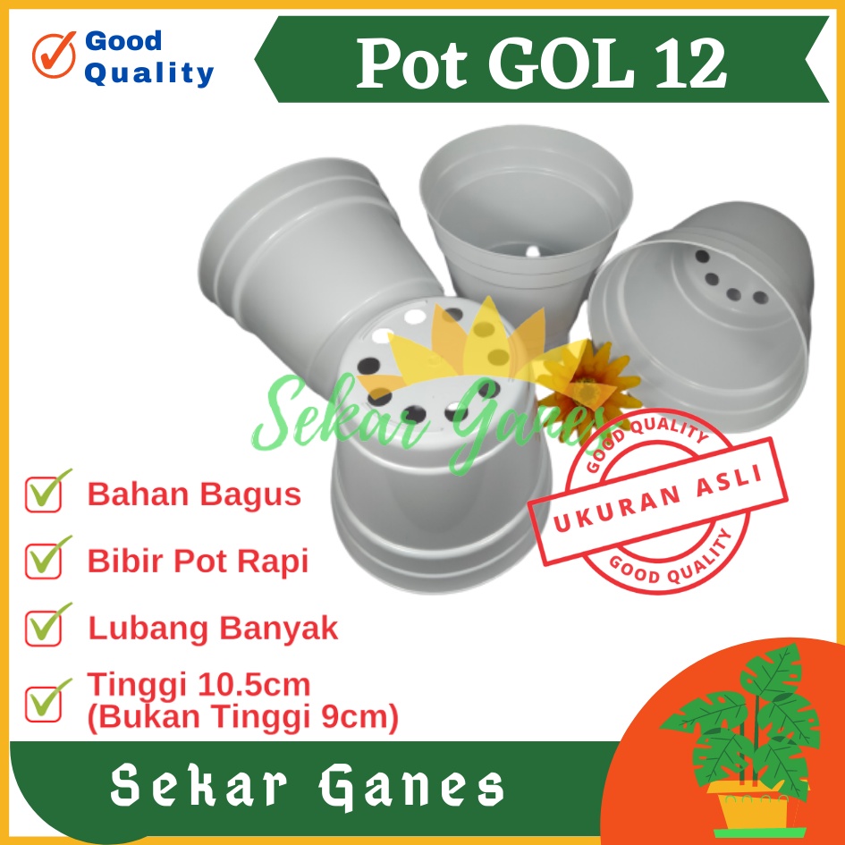 Pot 12 Putih Polos - Pot 12 Cm Putih Kecil Mini Minimalis Plastik Kaktus Sukulen Mini Murah Pot Bibit Pembibitan