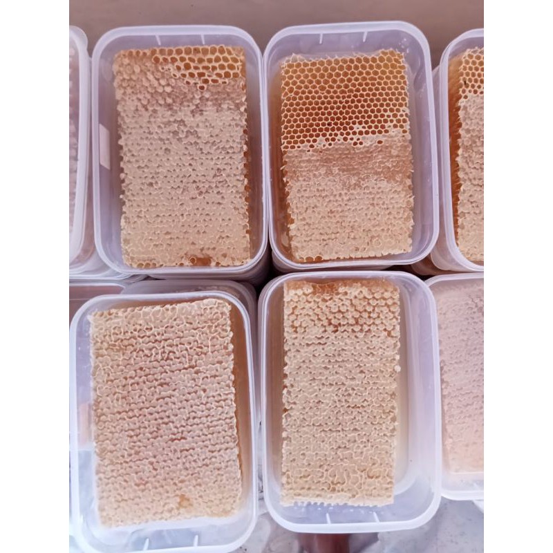 

Madu sarang milifera