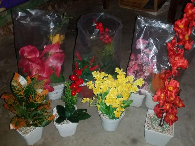 Ariani1318 Set Bunga Plastik Semanggi Dengan Pot Plastik Putih Bulat