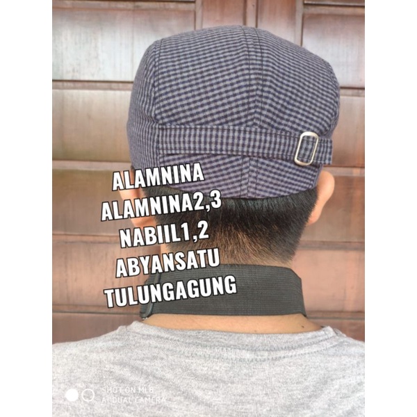 topi kodok dewasa