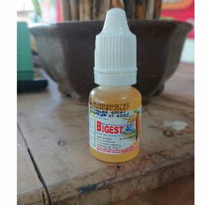 ZPT BIGEST 40EC 10ml