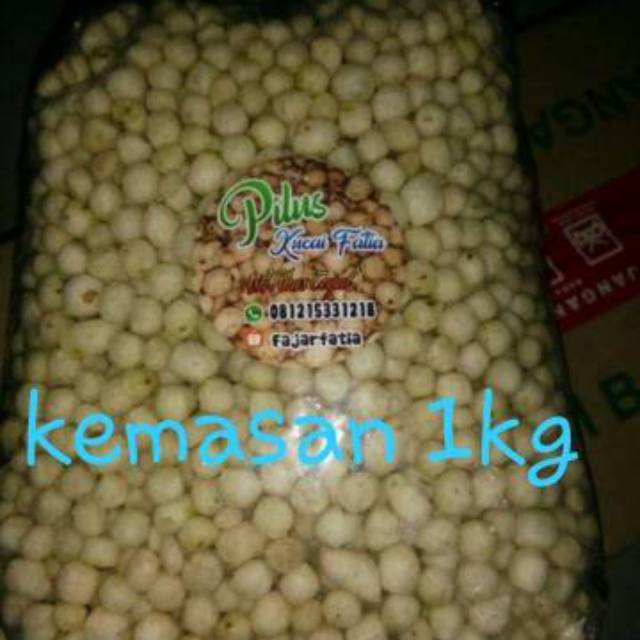 

Pilus asli produsen tegal