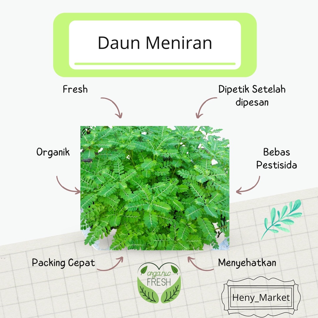 

Daun Meniran