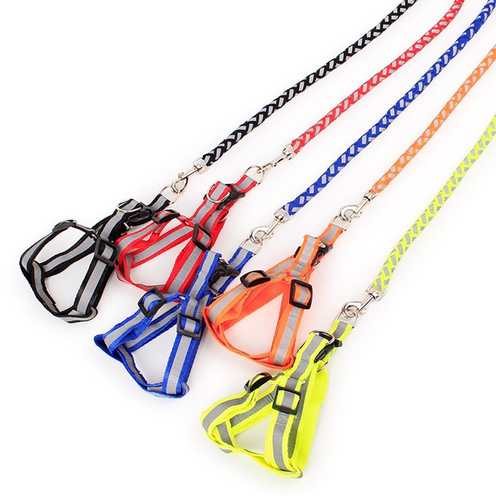 Pet Harness Dog Cat / Tali Tuntun Anjing Kucing Tambang Reflective Doky