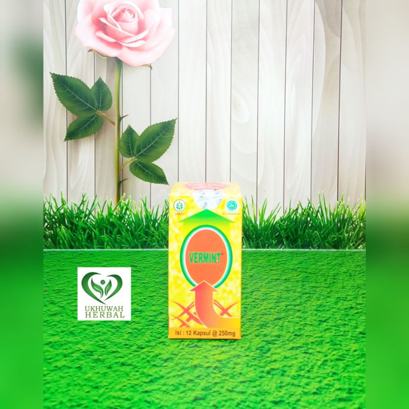 

Kapsul Vermint 12 kpsl untuk anak dan dewasa