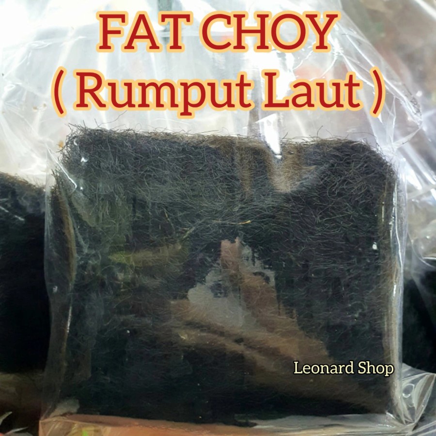 

Fat Choy Rumput Laut Kering Dried Seaweed Rambut Fatt Fa Choi Zi Chai