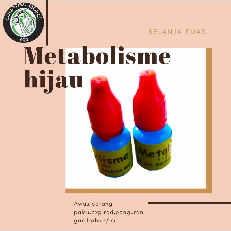 METABOLIS METABOLISME DR.EDI HIJAU