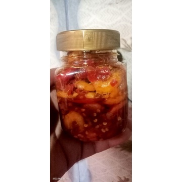 

SABEL GEPREK isi udang