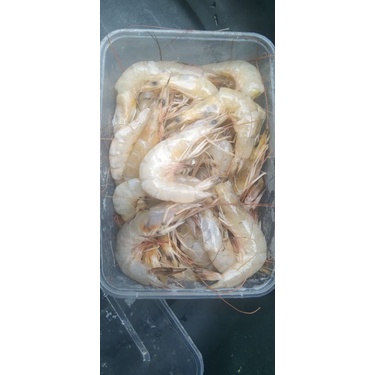 

Udang campur kemasan frozen