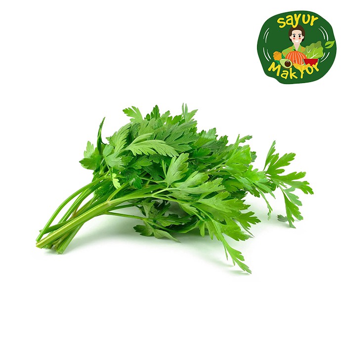 

Seledri Lokal Daun Sop Segar 1 Ikat | Sayur Mak Yur Medan | sayurmakyur