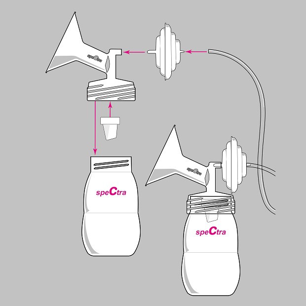 Spectra Back Flow Preventer / Backflow Protector